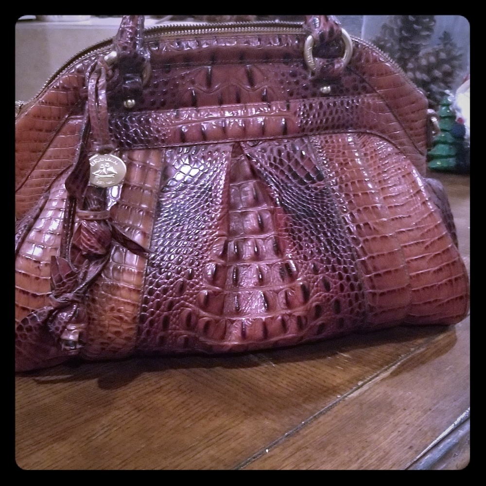 Brahmin purse